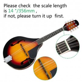 A Style Elegant Mandolin with Guard Board Sunset