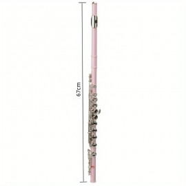 UBesGoo Cupronickel C 16 Closed Holes Concert Band Flute for Student Pink