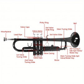 Black Nickel Plating Drop B Trumpet with High Musical Instrument Capabilities and Sound Glove Set in an Elegant Box