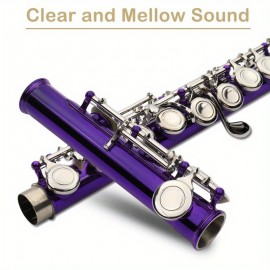 Cupronickel C 16 Closed Holes Concert Band Flute for Student Purple