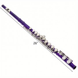 Cupronickel C 16 Closed Holes Concert Band Flute for Student Purple