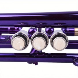 Brass B Flat Trumpet Violet