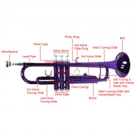 Brass B Flat Trumpet Violet