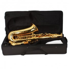 Stylish Mid-range Lacquered Golden Saxophone Painted Golden Tube with Carve Patterns