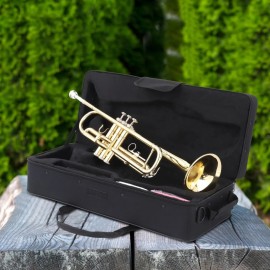 UBesGoo Beginner Gold Lacquer Brass Bb Trumpet with Care for Student School Band