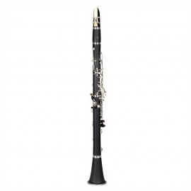 17 Key Beginner Clarinet Black with 2 Mouthpieces Connector for Students