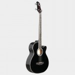 4 string Electric Acoustic Bass Guitar w/ 4-Band Equalizer EQ-7545R