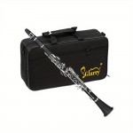 17 Key Beginner Clarinet Black with 2 Mouthpieces Connector for Students